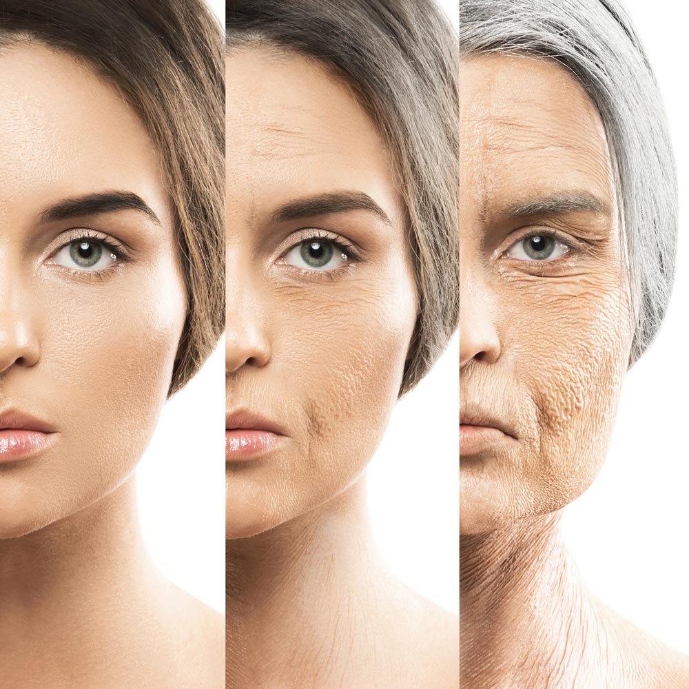 evolucion-piel-edad Como cambia la piel con la edad
